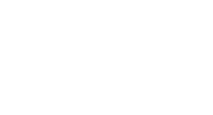 Logo WordPress